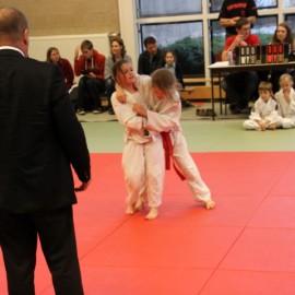 IMG 3080  Small - Judoclub Zaventem 